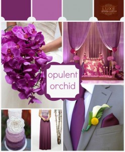 Tinute nunta Radiant Orchid